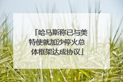 哈马斯称已与美特使就加沙停火总体框架达成协议
